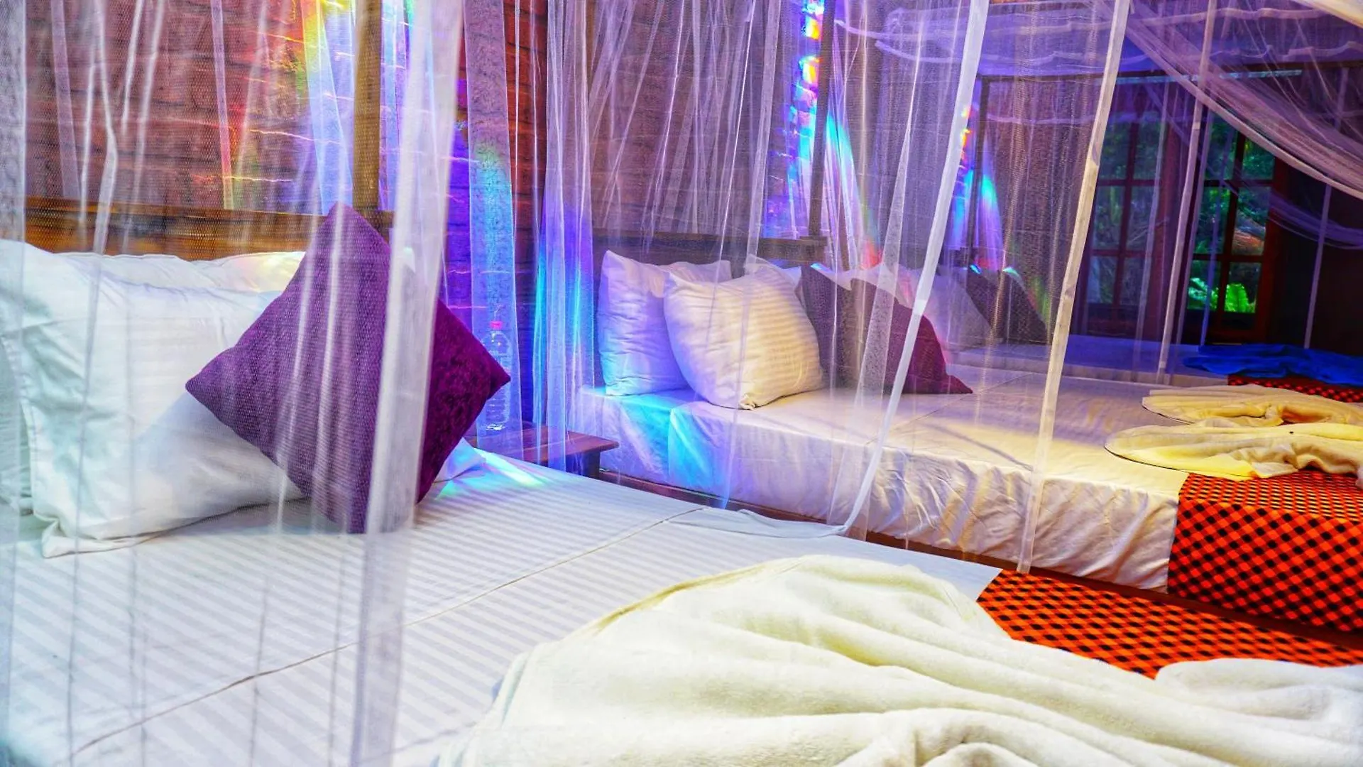 Osheen Homestay Sigiriya