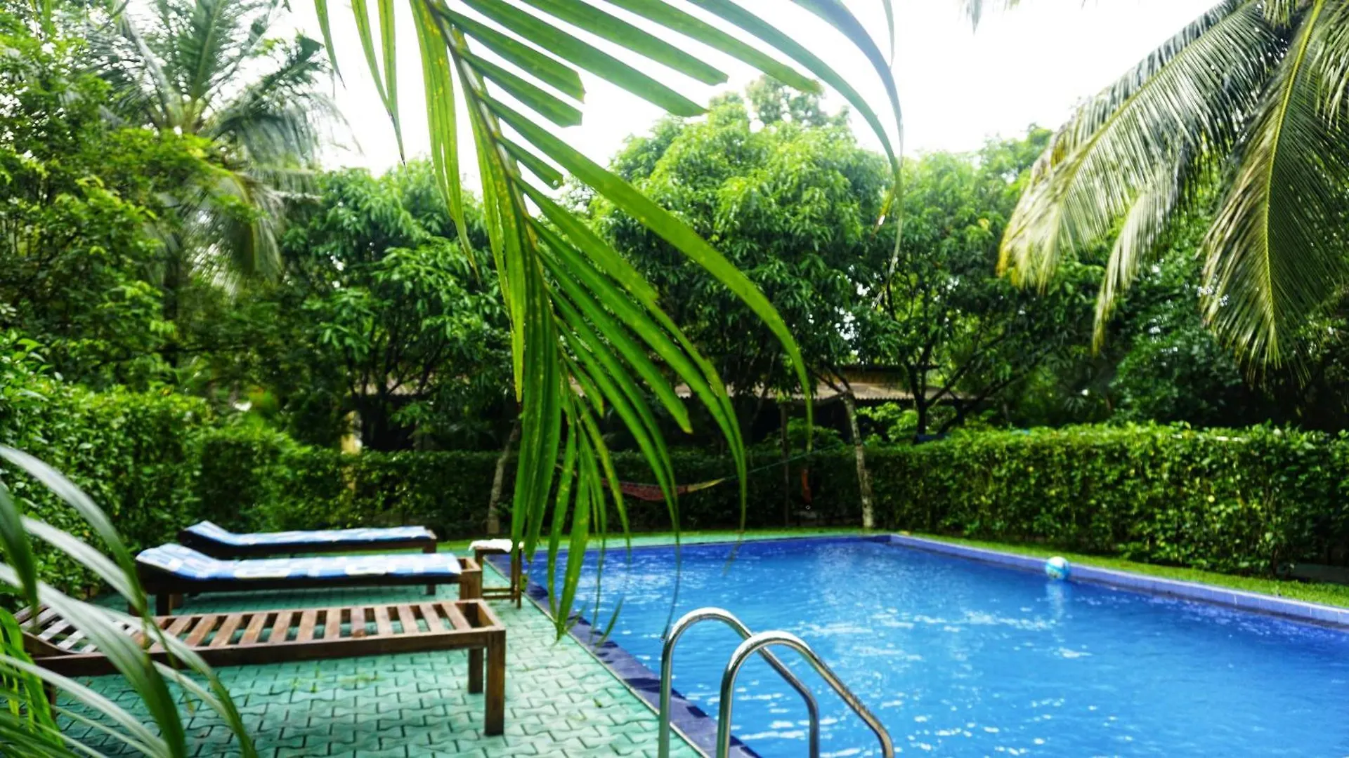 Osheen Homestay Sigiriya