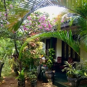 Village Feel Sigirîya