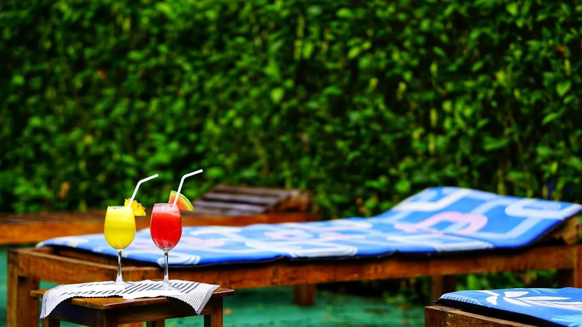 Osheen Homestay Sigirîya