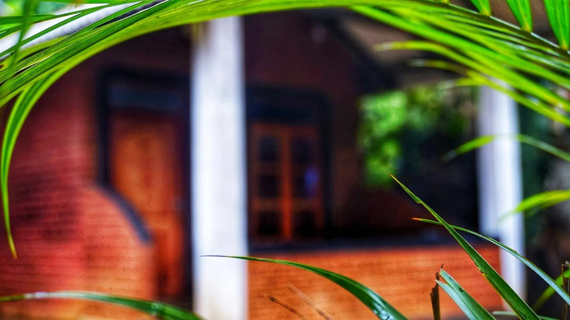 Osheen Homestay Sigiriya