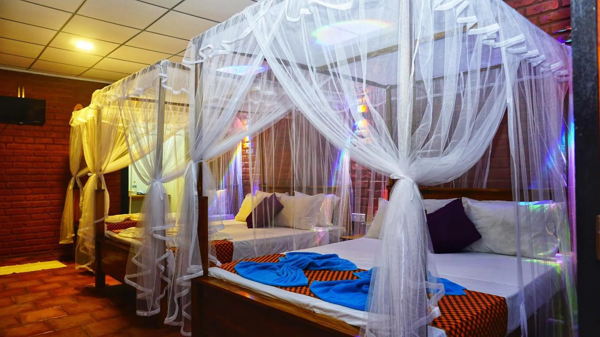 Osheen Homestay Sigirîya 0*,  Sri Lanka