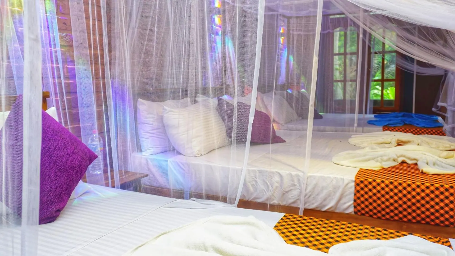 Osheen Homestay Sigiriya