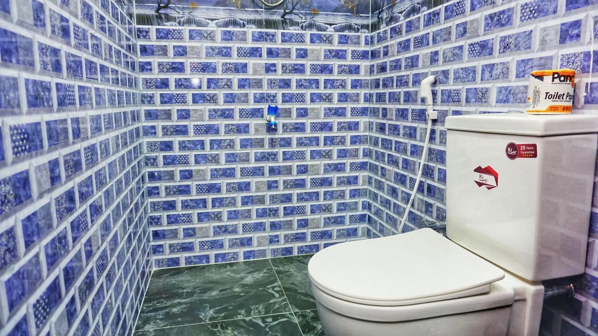 Osheen Homestay Sigirîya 0*,